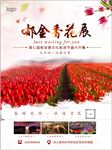 郁金香花展