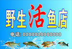 鱼店招牌门头