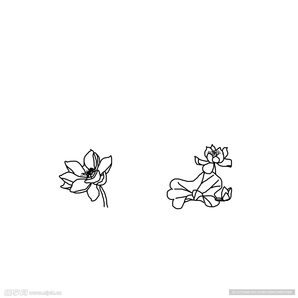 简笔荷花