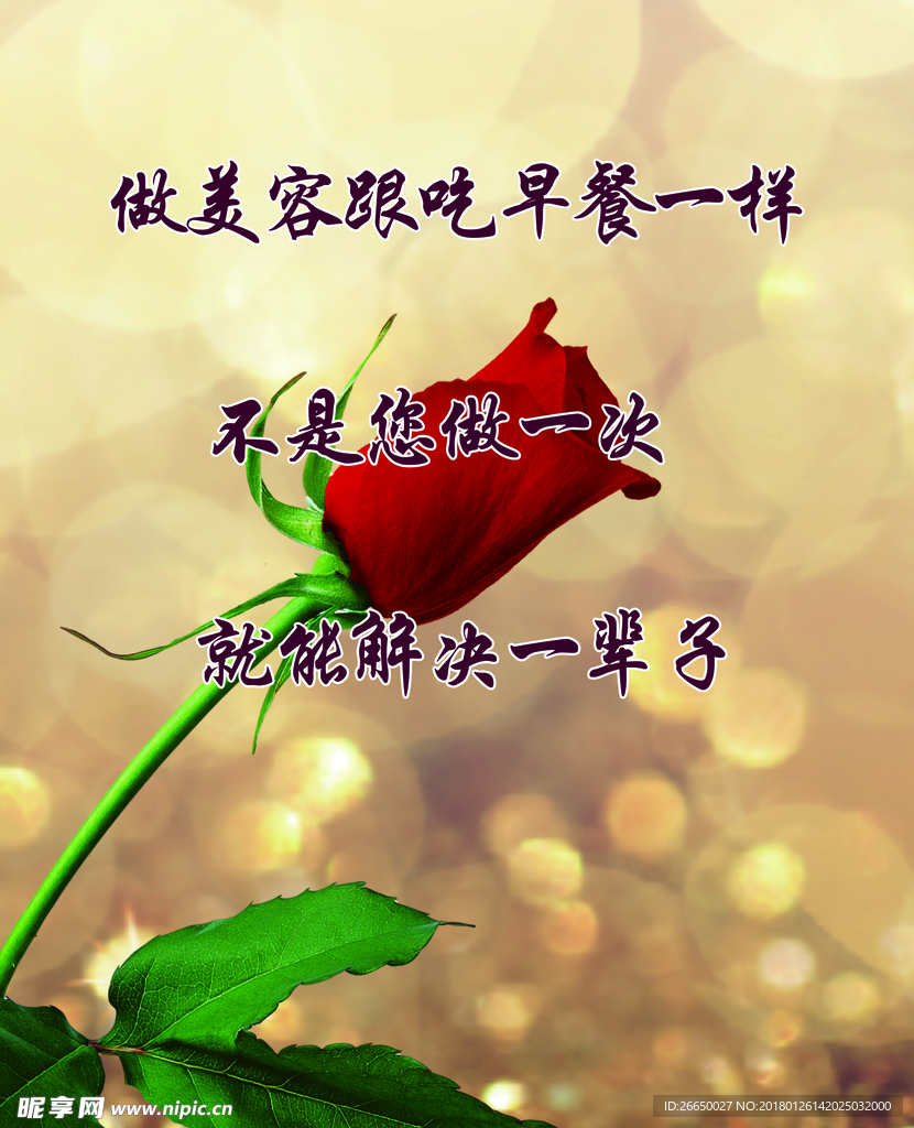 玫瑰背景