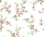 韩式唯美手绘花朵