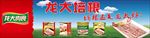 龙大培根