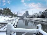 雪景