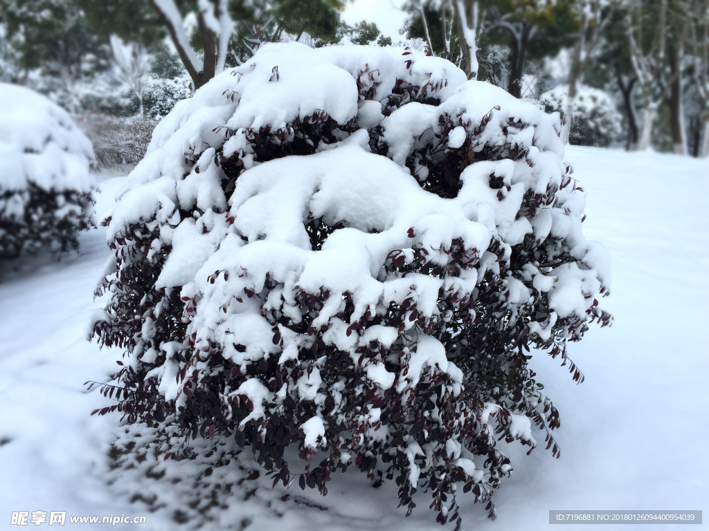 雪景