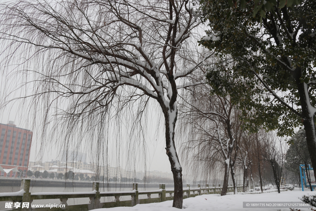 雪景