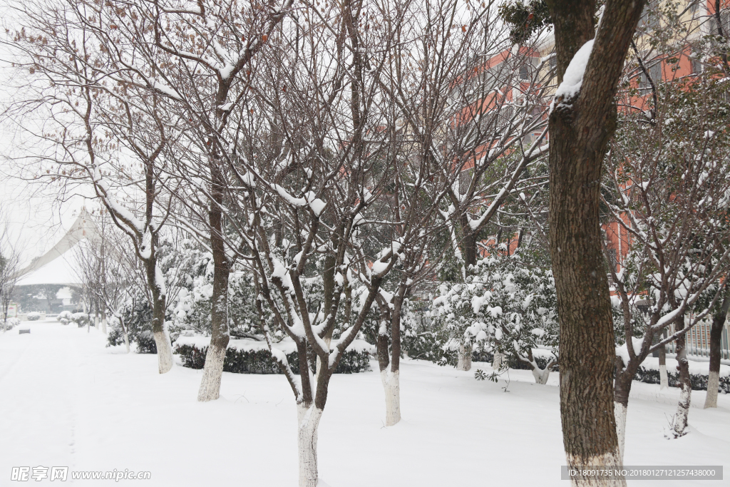 雪