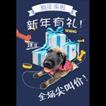 新年促销