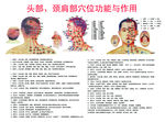 头颈肩穴位功能与作用