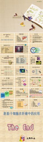 商务 商业 演示 总结 报告