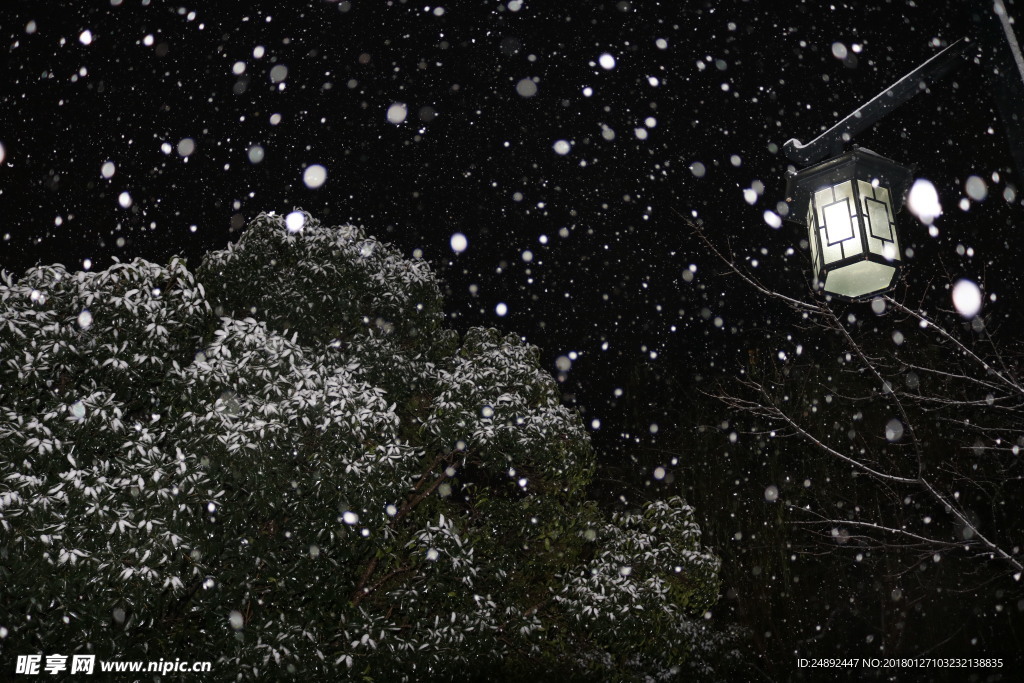 雪景