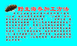 海参名片