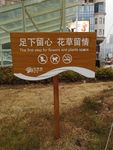 花草牌