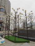 美陈
