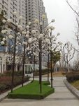 树灯
