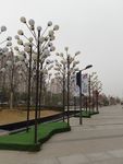 树灯
