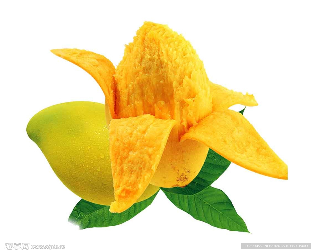芒果