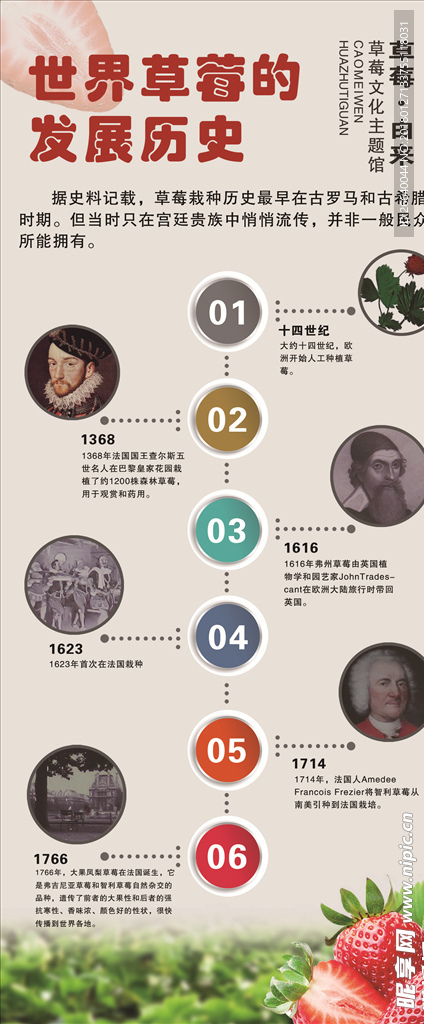 草莓发展史