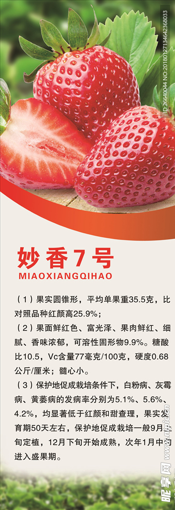 草莓展架