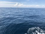 越南大海