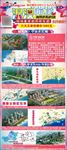 房天下海景房宣传X展架