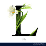 艺术字母花