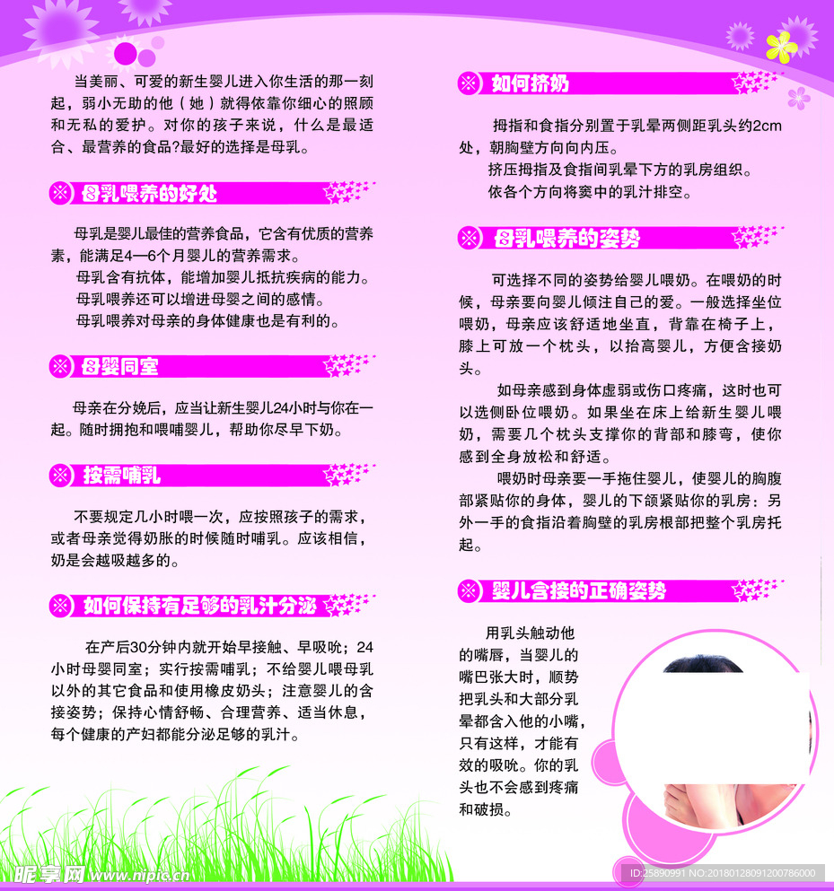母婴折页