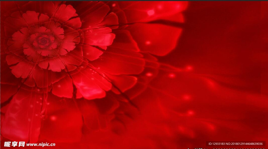 红色背景 花