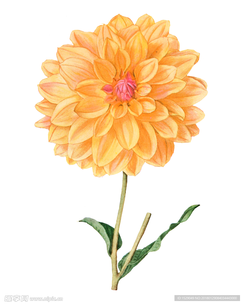 复古彩绘花朵