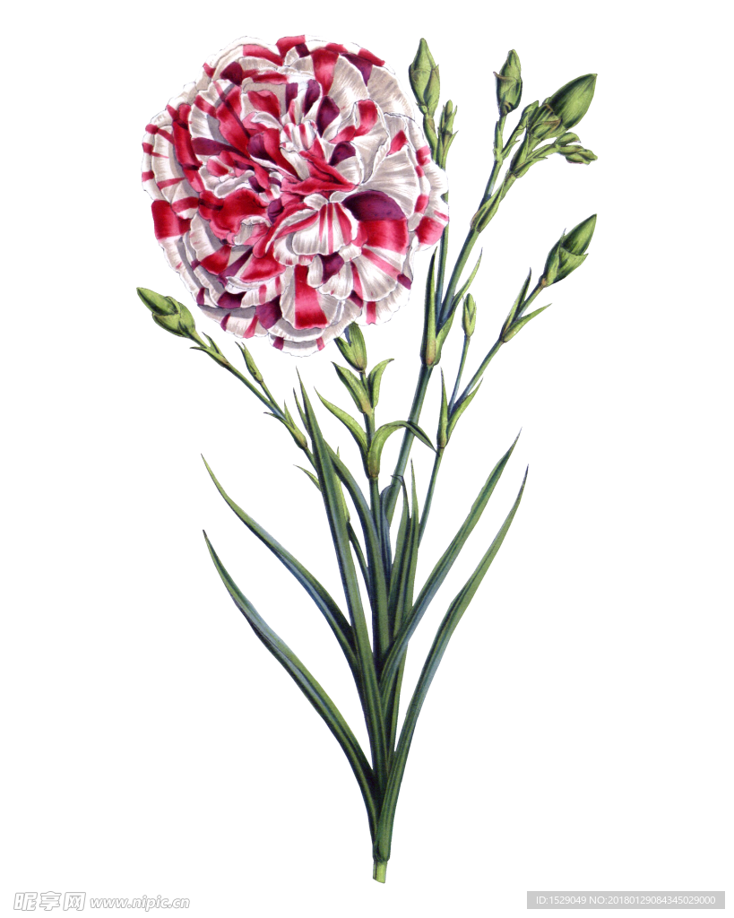 复古彩绘花朵