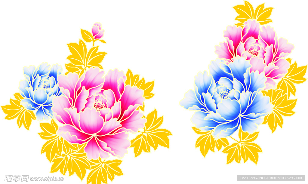 牡丹花
