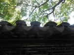 屋檐