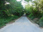 林间小道