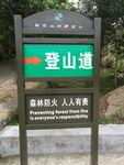 指示牌