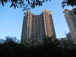 高楼大厦