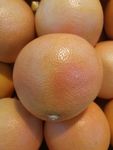 橙子