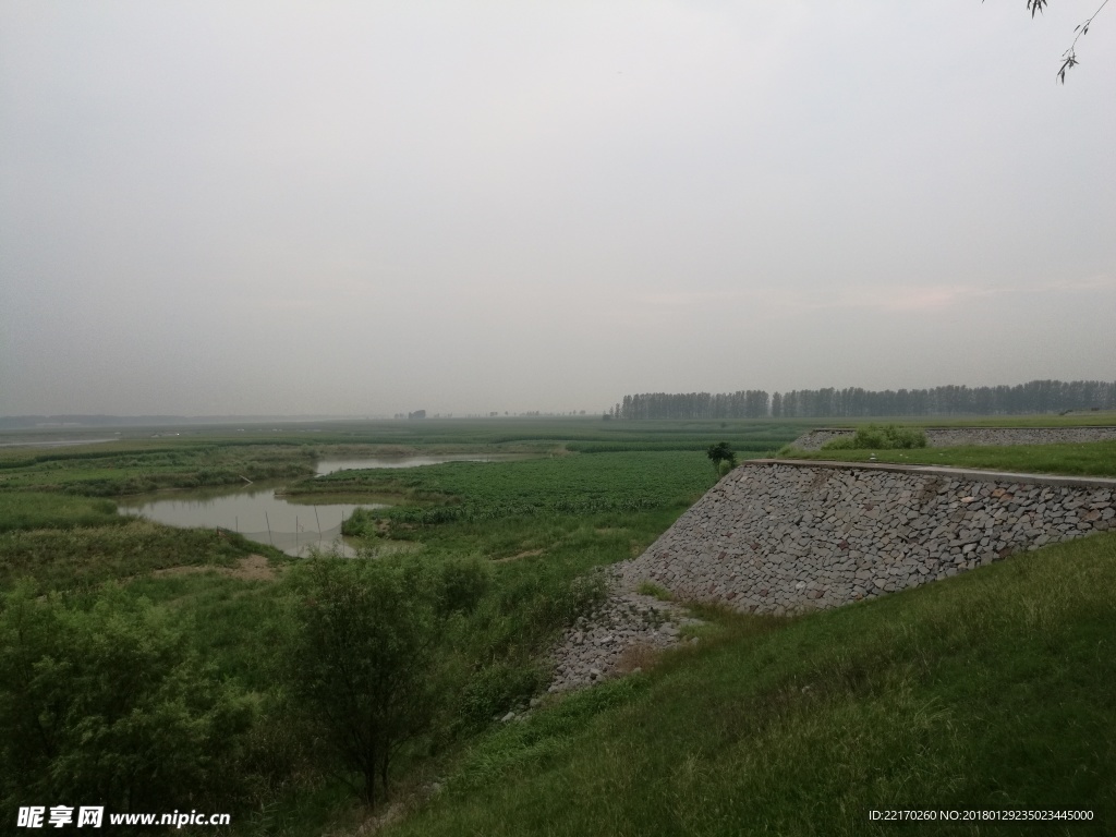 田园风光 河堤