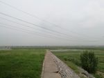 田园风光 河堤