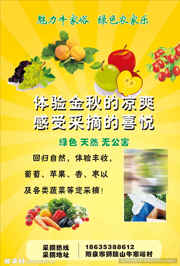 采摘海报