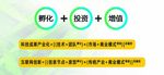 孵化投资增值