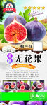 无花果展架