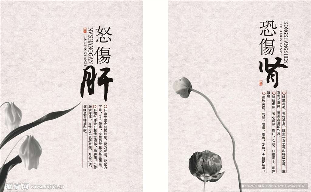 养生挂画