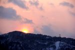 雪印夕阳红