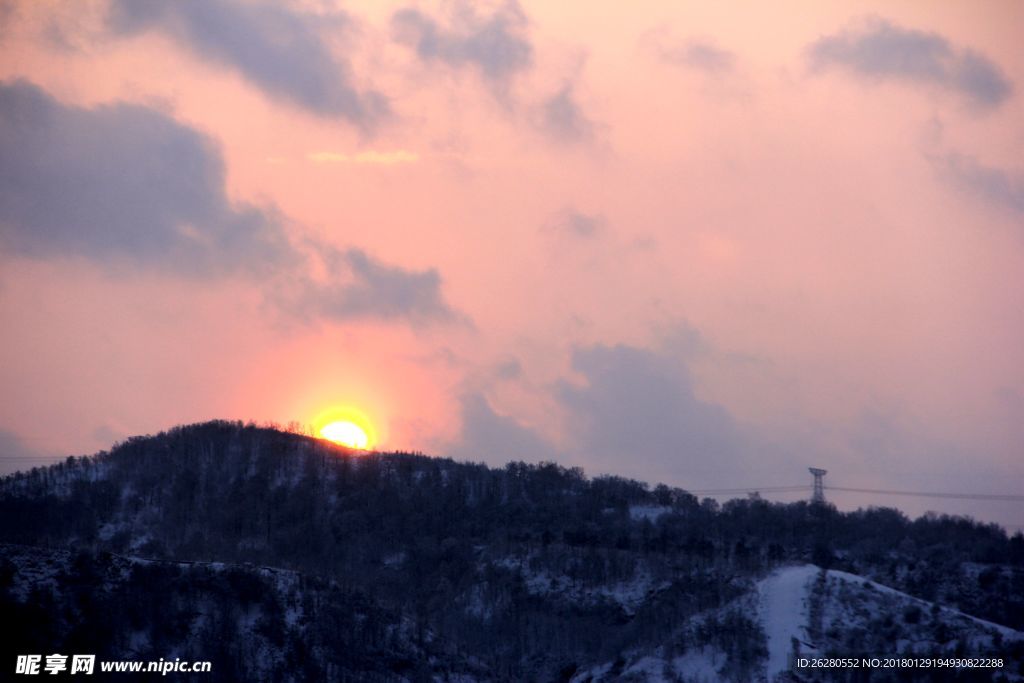 雪印夕阳红