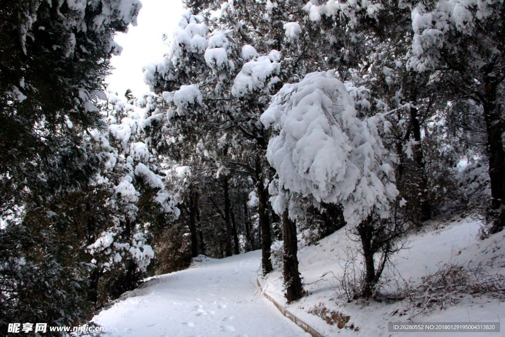 冬雪