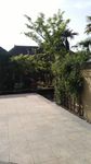 园林风景