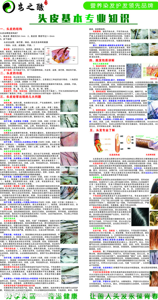 安之酸头皮基本专业知识了解