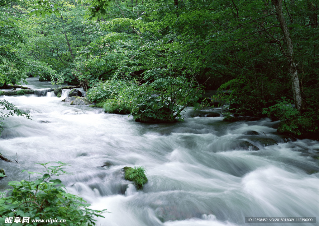 山涧小溪 山涧溪流 溪水 河流