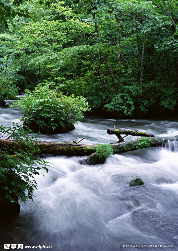 山涧小溪 山涧溪流 溪水 河流