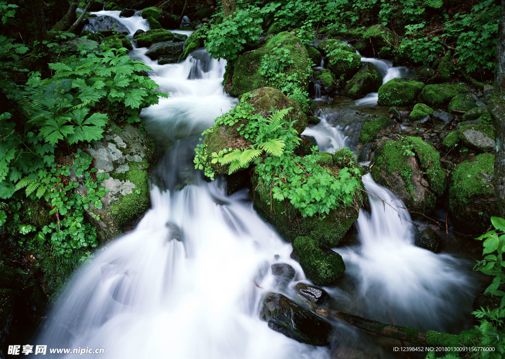 山涧小溪 山涧溪流 溪水 河流