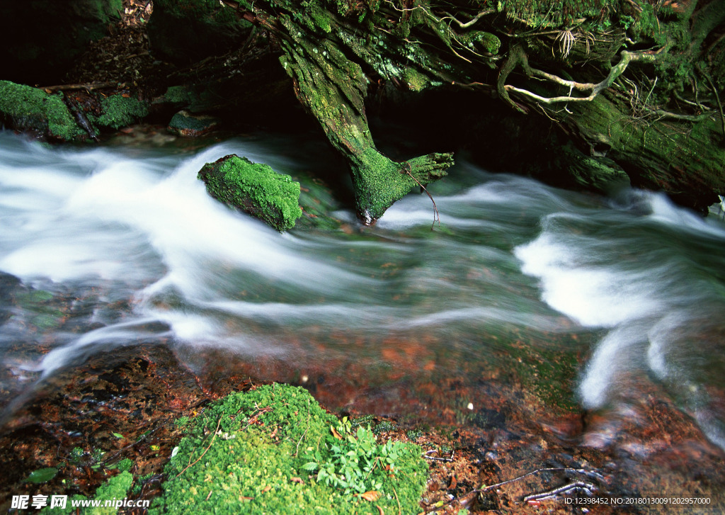 山涧小溪 山涧溪流 溪水 河流